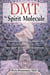 DMT: The Spirit Molecule - A Doctor's Revolutionary Research into the Biology of Near-Death and Mystical Experiences