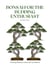 Bonsai for the Budding Enthusiast: Cultivating Miniature Trees with Confidence