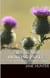 A Highland Hunting Party: A Pride and Prejudice Sensual Intimate - Mr. Darcy's Highland Fling, #1