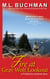 Fire at Gray Wolf Lookout - Firehawks Lookouts, #2
