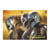 Poster - Star Wars The Mandalorian - Mandalorians