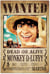 Poster Grupo Erik - One Piece Netflix Wanted Monkey