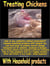 Treating Chickens with Common Household Products