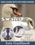 Swans Photos and Fun Facts for Kids - Kids Learn With Pictures, #80