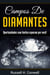 Campos de Diamantes: Oportunidades sem limites esperam por você!