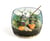 Terrarium  Clementoni - Harry Potter