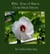 White Rose of Sharon Cross Stitch Pattern
