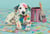 Puzzle 500 pièces - High Quality Collection - Funny Dalmatian