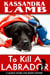 To Kill a Labrador - A Marcia Banks and Buddy Mystery, #1