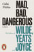 Mad, Bad, Dangerous to Know - The Fathers of Wilde, Yeats and Joyce