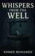 Whispers from the Well