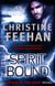 Spirit Bound - Number 2 in series