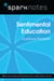 Sentimental Education (SparkNotes Literature Guide)