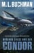 Miranda Chase und der Condor - Miranda Chase: Flugunfallermittler, #3