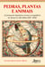 Pedras, Plantas e Animais as Formas de Classificar os Seres, no Lapidário de Afonso X, o Rei Sábio (1221 - 1284)
