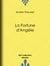 La Fortune d'Angèle