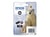 Epson 26 - photo noire - originale - cartouche d'encre