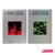 I decide - digi - Ikon