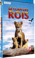 Clan des rois