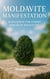 Moldavite Manifestation: Harnessing The Cosmic Power Of Moldavite