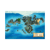 Terres-Dragons Plan - JDR Editions