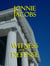 Witness for the Defense - Kali O'Brien legal suspense, #4