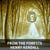 From the Forests (Unabridged)