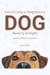 How to Stop a Neighbour’s Dog Barking at Night - Quick & Effective Solution!