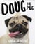 Doug The Pug - The King of the Internet