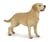 Figurine Papo - Labrador