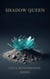 Shadow Queen - The Salt and the Sun, #1