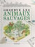 Observe les animaux sauvages