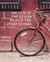 The Year of the Stolen Bicycle Tire and Other Stories