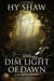 The Dim Light of Dawn - Gil Novak and Lili D'Amico Mysteries, #1