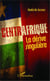Centrafrique - La dérive singulière