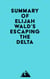 Summary of Elijah Wald's Escaping the Delta