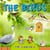 The birds - Learn All There Is to Know About These Animals!