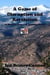 A Game of Disruption and Revelation - The Divided States of America, #19