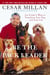 Be the Pack Leader - Use Cesar's Way to Transform Your Dog . . . and Your Life