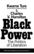 Black Power - Politics of Liberation in America