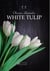 Obscuro admirador - White tulip