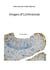 Images of Lichinaceae