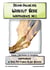 Independence Trainer 1 - Training & Sightreading für Professionl. Schlagzeugtrainer