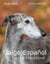 Galgo Español - Le Lévrier Espagnol