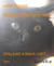 Blacky, the one-ear - Only just a black cat?