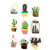 9 STICKERS CACTUS 3D