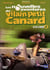 Les Nouvelles aventures du vilain petit canard - Volume 2