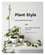 Plant style how to greenify your space