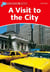 Dolphins, level 2: a visit to the city