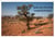 Sur les pistes namibiennes (calendrier mural 2021 din a4 horizontal) - a la decouverte de la namibie